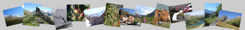 Bannire